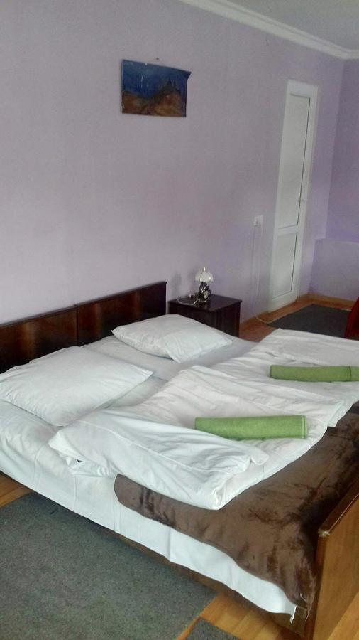 Nino Khetaguri Guest House Kazbegi Exteriör bild