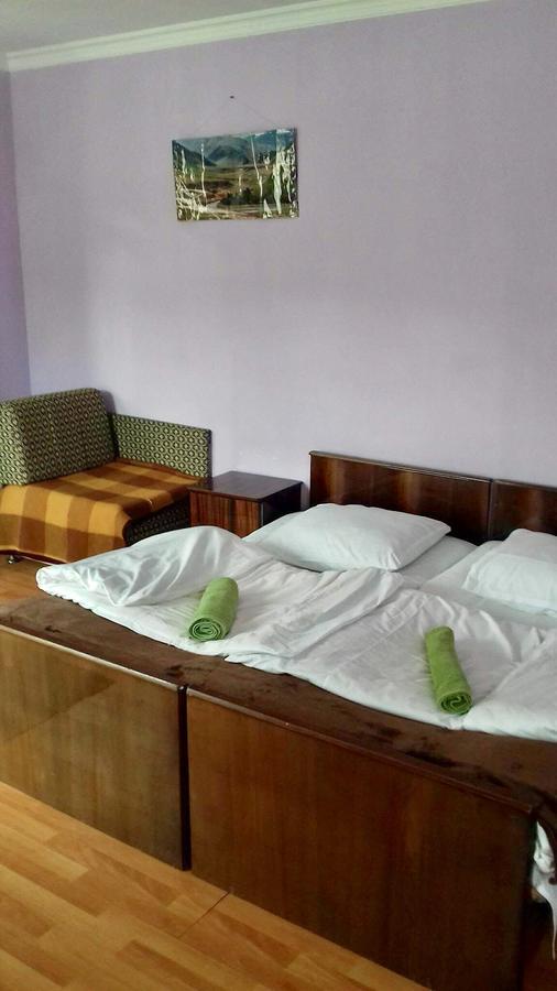 Nino Khetaguri Guest House Kazbegi Exteriör bild